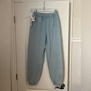 Aritzia Cozy Fleece Sweatpants